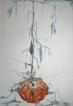 Rouge Vif Installation — Texte von Georg Schmid