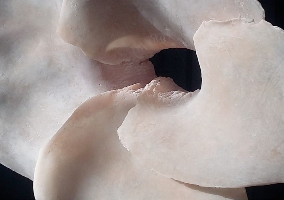 summer's distillation